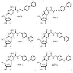Figure imgf000081_0002