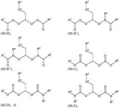 Figure BDA0003154168970000702