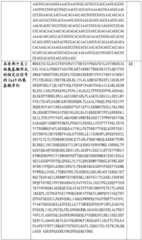 Figure BDA0002508391090001061