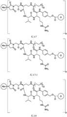 Figure FDA0003674984860000071