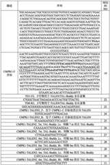 Figure BDA0002480009020001441