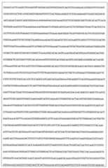 Figure 108128641-A0202-12-0145-879