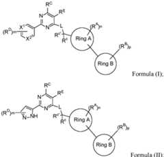 Figure imgf000004_0001