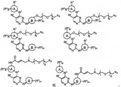 Figure BPA00001280125601161