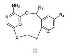 Figure imgf000004_0001