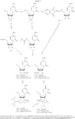 Figure US07582744-20090901-C00166