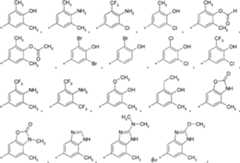 Figure A2006800095860010C1