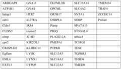 Figure imgf000077_0001