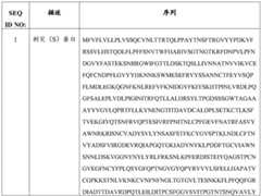 Figure BDA0004113835070000401