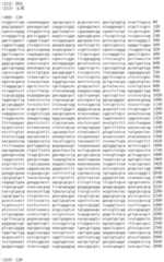 Figure IDA00002091897101401