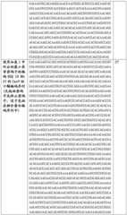 Figure BDA0002508391090001141