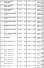 Figure imgf000455_0001