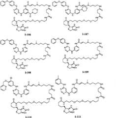 Figure BPA00001476434900601