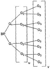 Figure imgf000027_0001