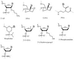 Figure imgf000019_0002