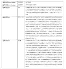 Figure 0007483732000042