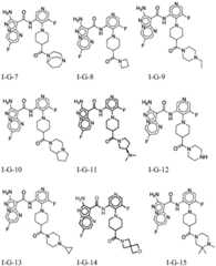 Figure BDA0001412716210005161