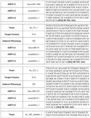 Figure imgf000172_0001