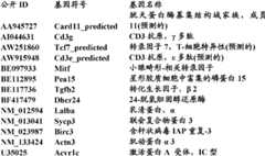 Figure BDA0000057170160000752