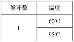 Figure BDA0002410358870000161