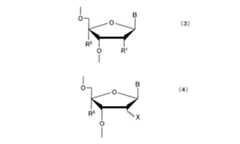 Figure 0007016170000002