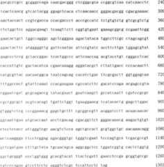 Figure A200780018204D00941