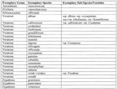 Figure imgf000010_0001