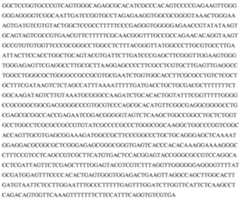 Figure imgf000028_0001