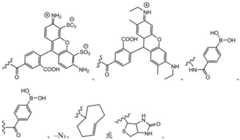 Figure BDA0003670511740003321