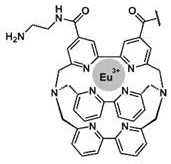 Figure DEST_PATH_IMAGE028