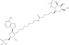 Figure US11578329-20230214-C00018