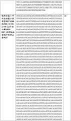 Figure BDA0002508391090001121