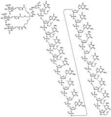 Figure 0007429103000017