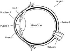 Figure DE202011111136U1_0000