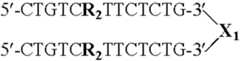 Figure US07851453-20101214-C00029
