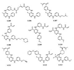 Figure 112016119396583-pat00096