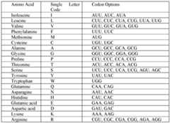 Figure imgf000033_0001