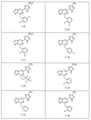 Figure 0007050759000016