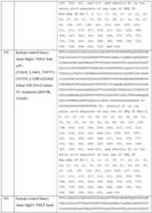 Figure imgf000094_0001