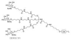 Figure 2023012548000373