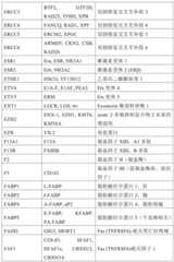 Figure BDA0001878096640000541