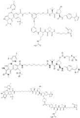 Figure imgf000598_0001