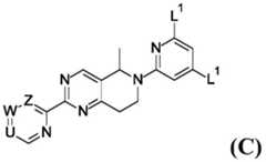 Figure FDA0002421957370000312