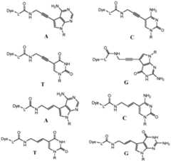 Figure imgf000043_0001