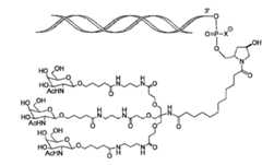 Figure 105140410-A0305-02-0047-12