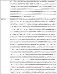 Figure imgf000373_0001