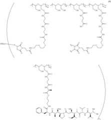 Figure US09808528-20171107-C00034