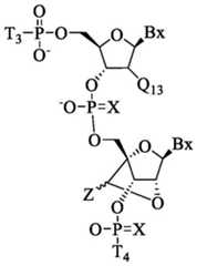 Figure BDA0003357312860003231