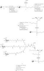 Figure US10927372-20210223-C00237