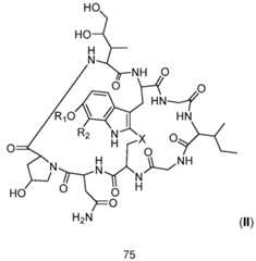 Figure imgf000076_0002